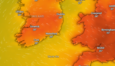 Cork Beo