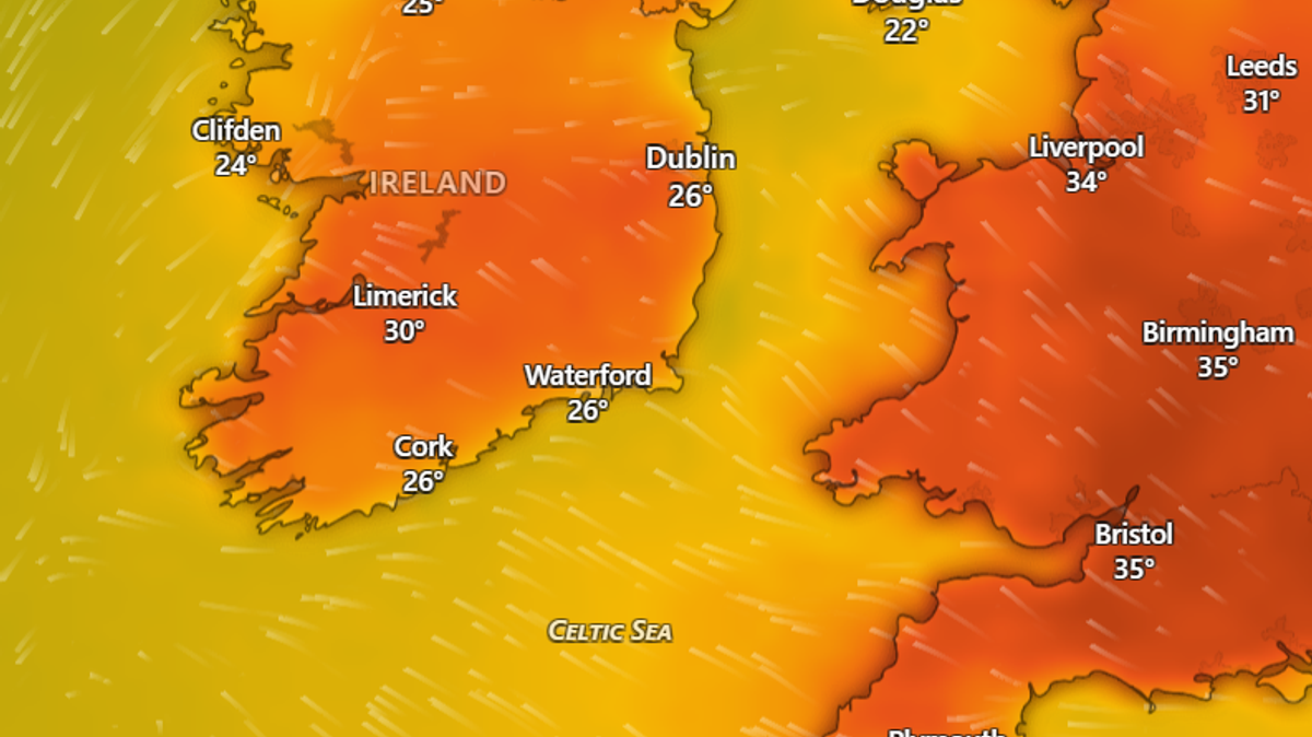 Cork Beo