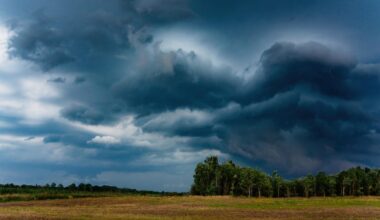 5 disaster-prep tips I've learned after decades of bushcrafting