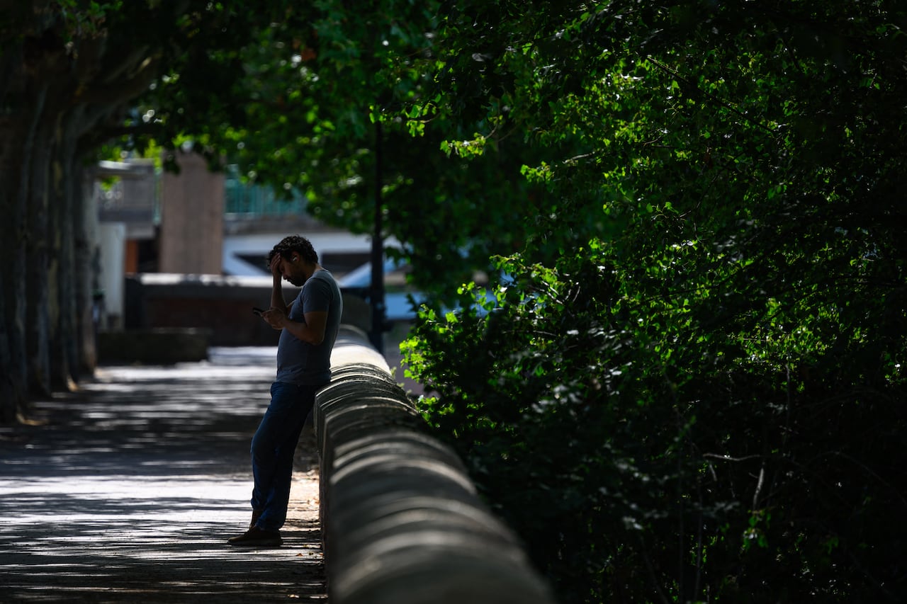 Green trees surround a man who leans against a concrete half-wall in the shade as he looks at his phone.