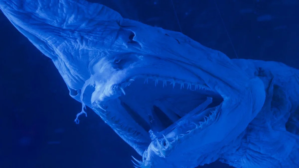 Magnetic sperm and the ugliest shark: science stories of the week
