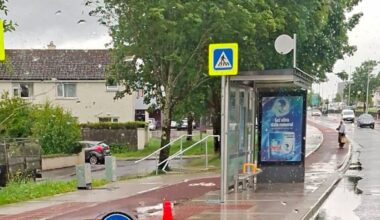 Galway Beo