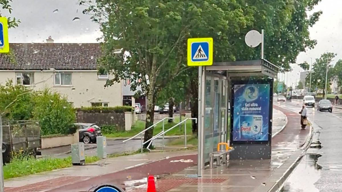 Galway Beo
