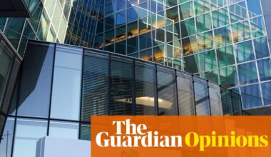 Ireland is big tech’s lapdog – and that compromises its EU presidency | Johnny Ryan