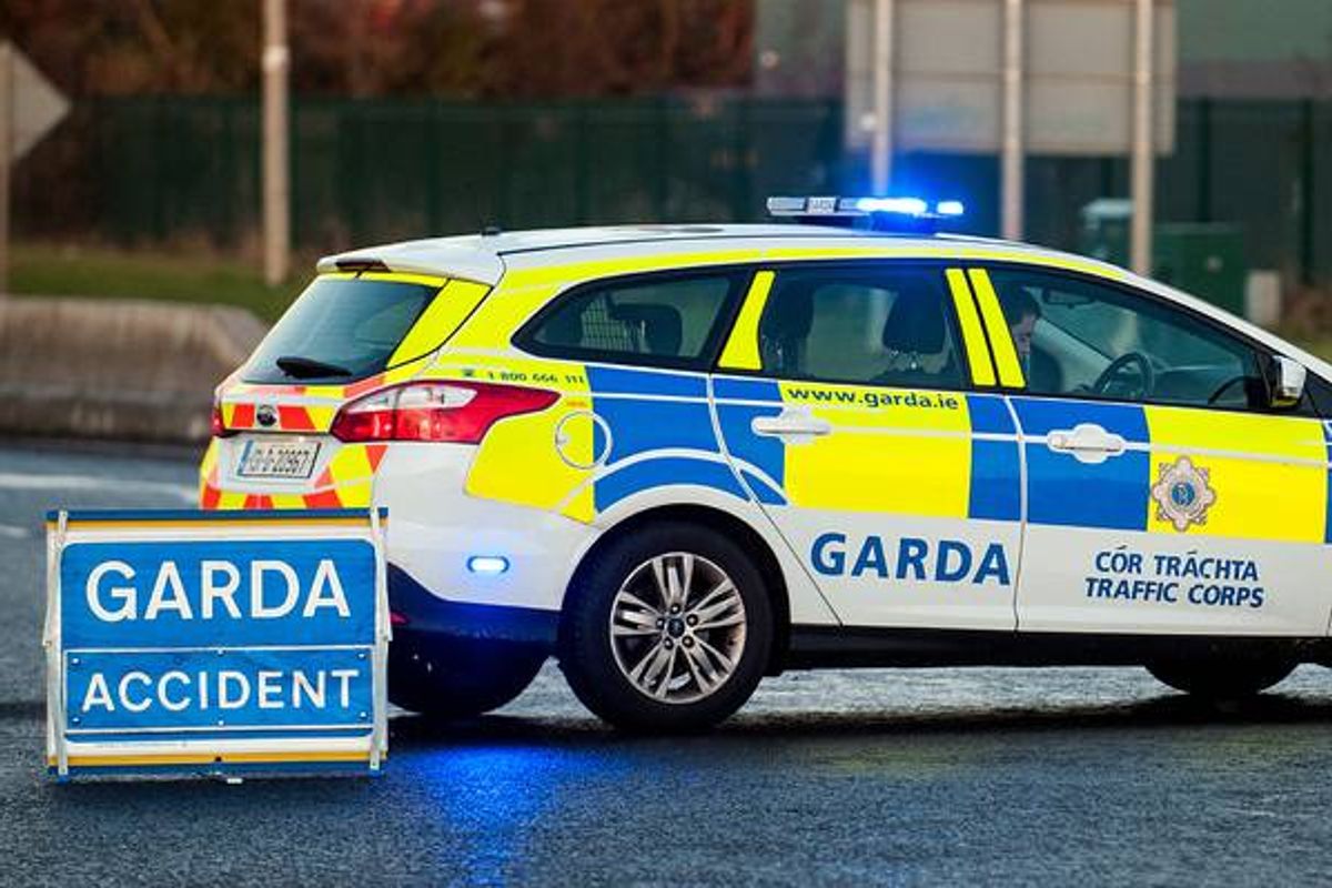 Garda (stock)