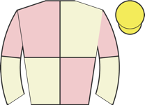 Horse silk