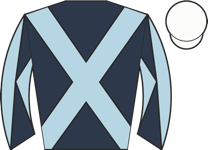 Horse silk