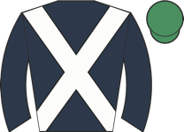 Horse silk