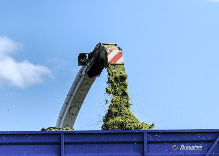 Demand for silage lettings nosedives