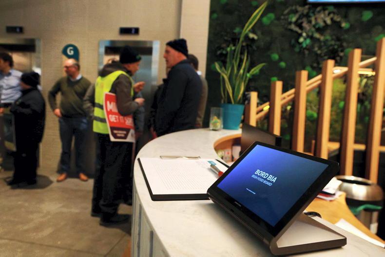 Governance Ireland partner stepped away from Bord Bia review