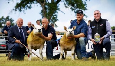 Athlone to host Texel All-Ireland