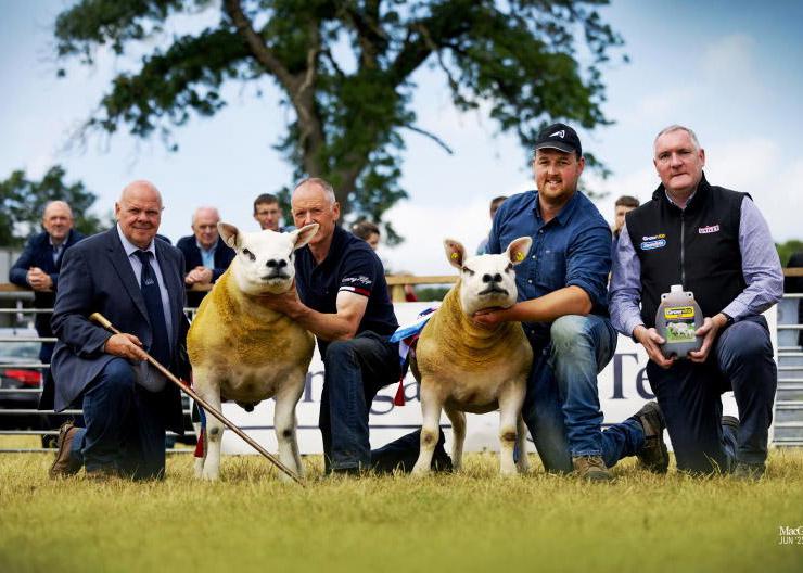 Athlone to host Texel All-Ireland