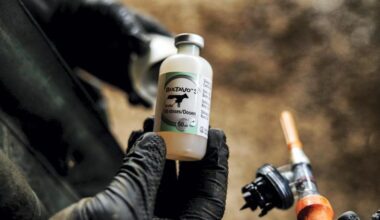 Bultavo-3 bluetongue vaccine likely to require annual administration