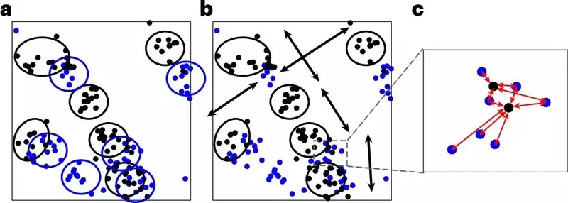 Schematic diagram demonstrating heteromyopia. (CREDIT: Nature Ecology & Evolution)