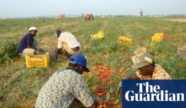 Four migrant workers reportedly burned alive in their car in attack in Italy | Italy