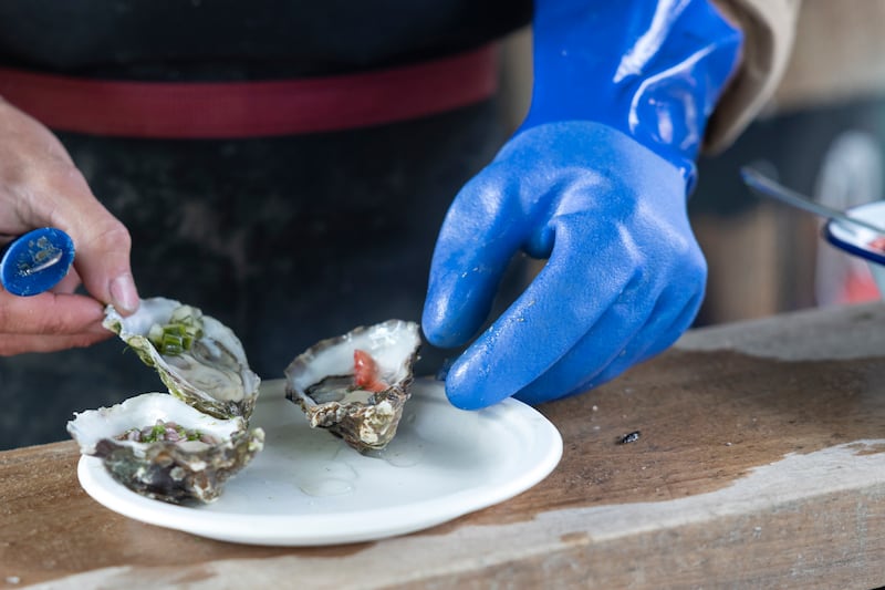 Fresh oysters at the King Sitric truck at the Taste of Dublin 2026 in Merrion Square. Photograph: Chris Maddaloni/The Irish Times