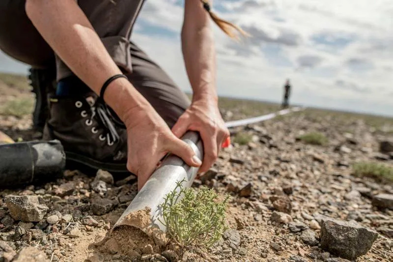 Close up of soil core extraction. (CREDIT: Tomás Munita)