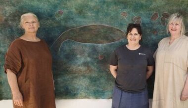 Laois art residency leads to collaboration on goddess of Barrow - News