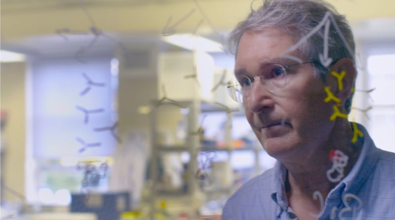 Scientists led by the University of Cambridge have created new vaccine technology with the help of artificial intelligence, which could provide immunity against whole families of viruses and protect people from any future mutations in a single jab. An early trial has shown a coronavirus vaccine developed using the method is safe, with a larger study set to include upwards of 200 people.