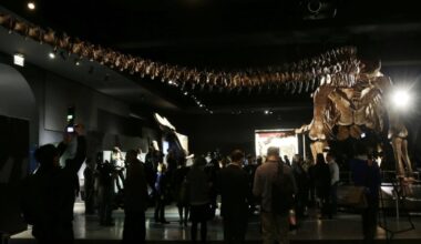 Scientists share details about first dinosaur fossil found in Antarctica