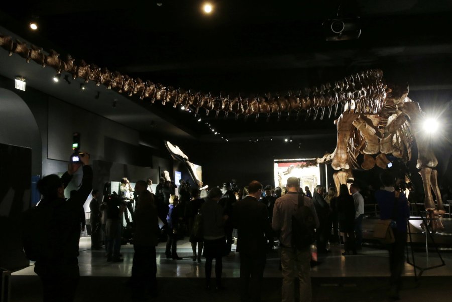 Scientists share details about first dinosaur fossil found in Antarctica