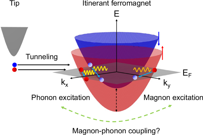 Observation of magnon polarons in the van der Waals itinerant ferromagnet Fe3GeTe2