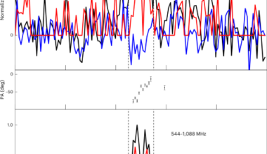 Pulsed radio emission from a central compact object