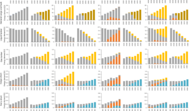 Marine fuel choices and related life-cycle environmental impacts under global shipping policies