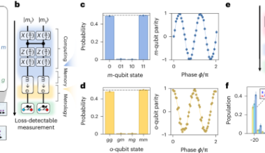 High-fidelity entanglement and coherent multi-qubit mapping in an atom array
