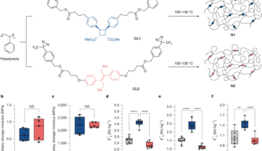 Mechanophore cross-linking enhances ballistic energy dissipation of polymers
