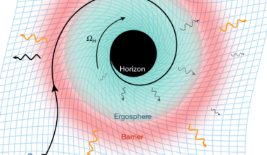 GW250114 reveals signatures of post-merger black-hole horizon