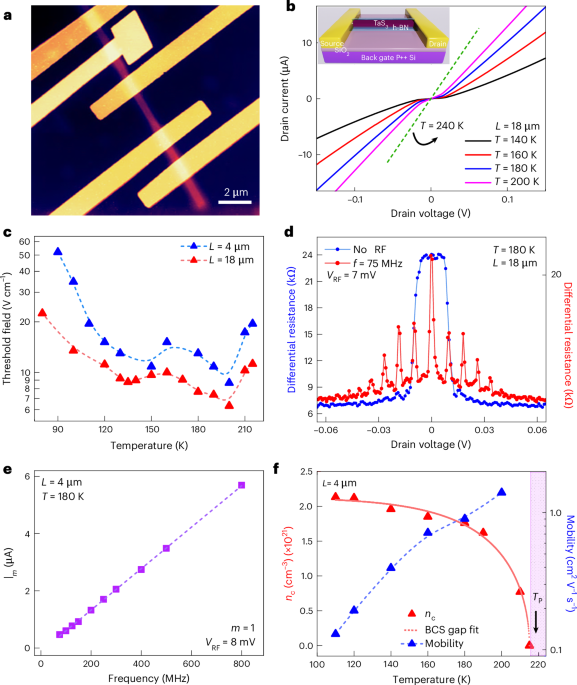 Giant gate response of the charge in an electron–lattice condensate