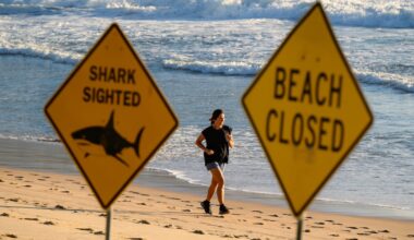 Third fatal Australia shark attack in three weeks as man killed in waters off west coast – The Irish Times