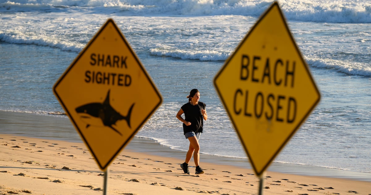 Third fatal Australia shark attack in three weeks as man killed in waters off west coast – The Irish Times