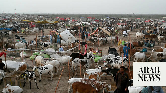 Pakistan’s ‘Go Cashless’ Eid Al-Adha 2026 drive records $122 million in digital payments