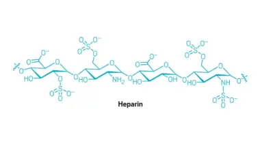 Heparin synthesized using only enzymes
