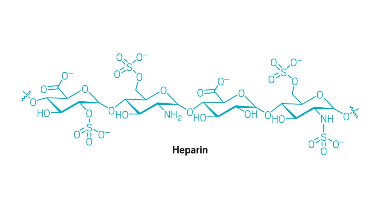 Heparin synthesized using only enzymes