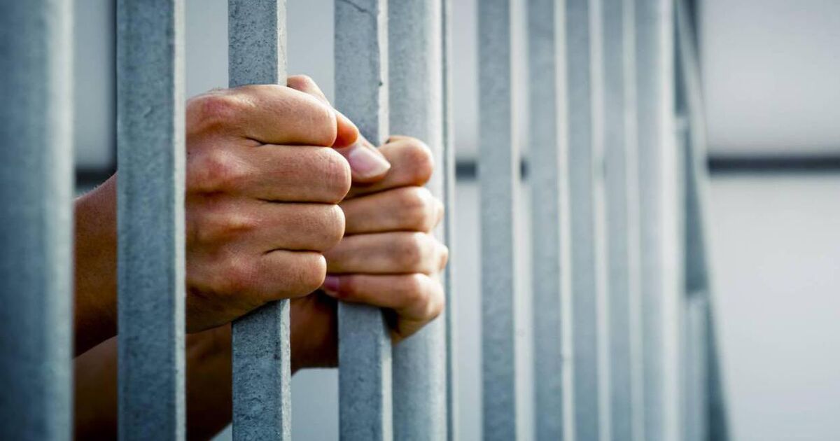 Prison sentence for sardine thief who abused shop staff in West Cork