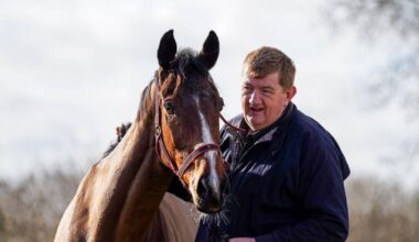 ‘Shark’ Hanlon fined following heated Listowel incident  