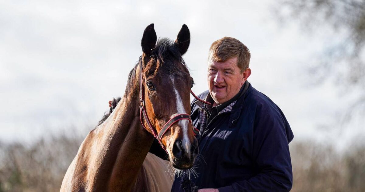 ‘Shark’ Hanlon fined following heated Listowel incident  