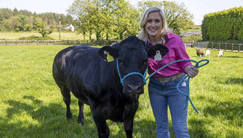 Katie Shanahan and Black Betty ahead of the Cork Summer Show.