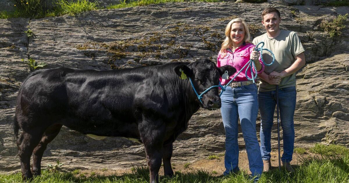 From social media to show ring: Black Betty takes centre stage