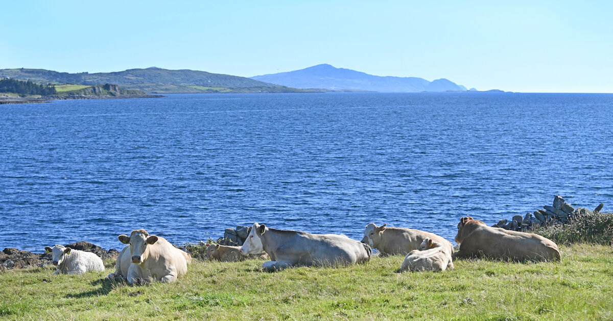 Climate change drove Ireland’s record-breaking May temperatures, study finds