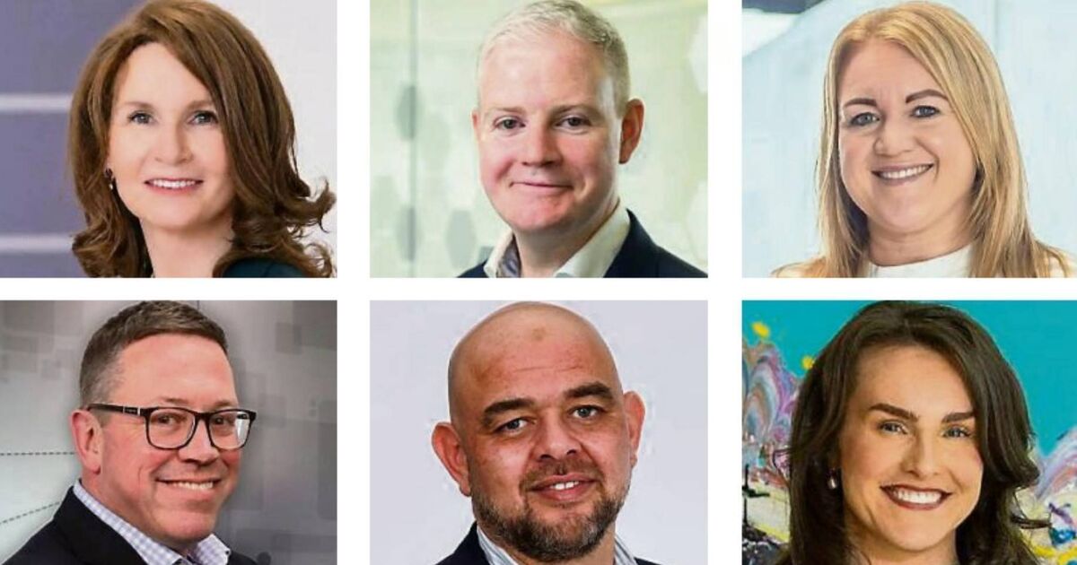 Business movers: People starting new jobs in Ireland