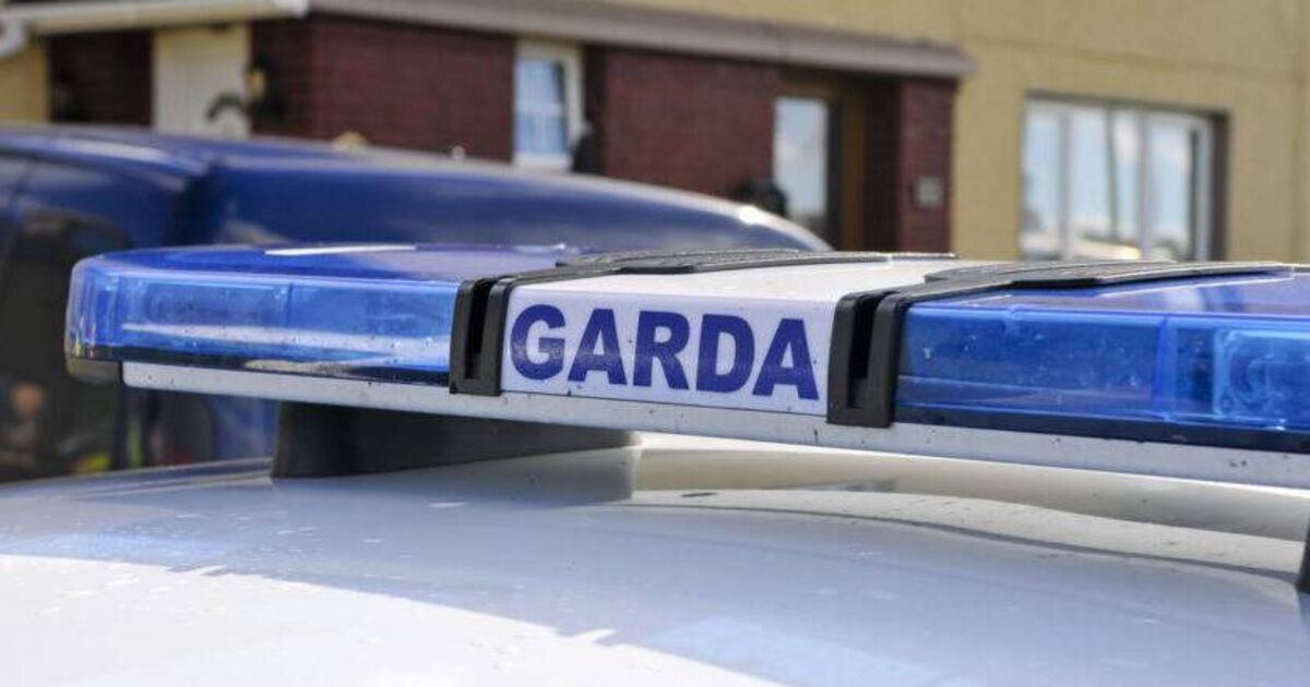 Gardaí appeal for witnesses following fatal road traffic collision in North Cork