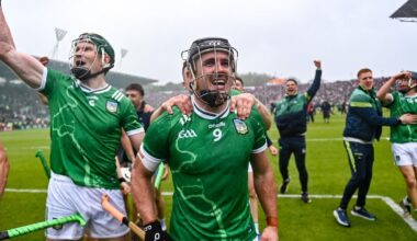 Patrick Horgan: That Limerick flag plant will come up in Cork discussions. That's for sure - Irish Examiner