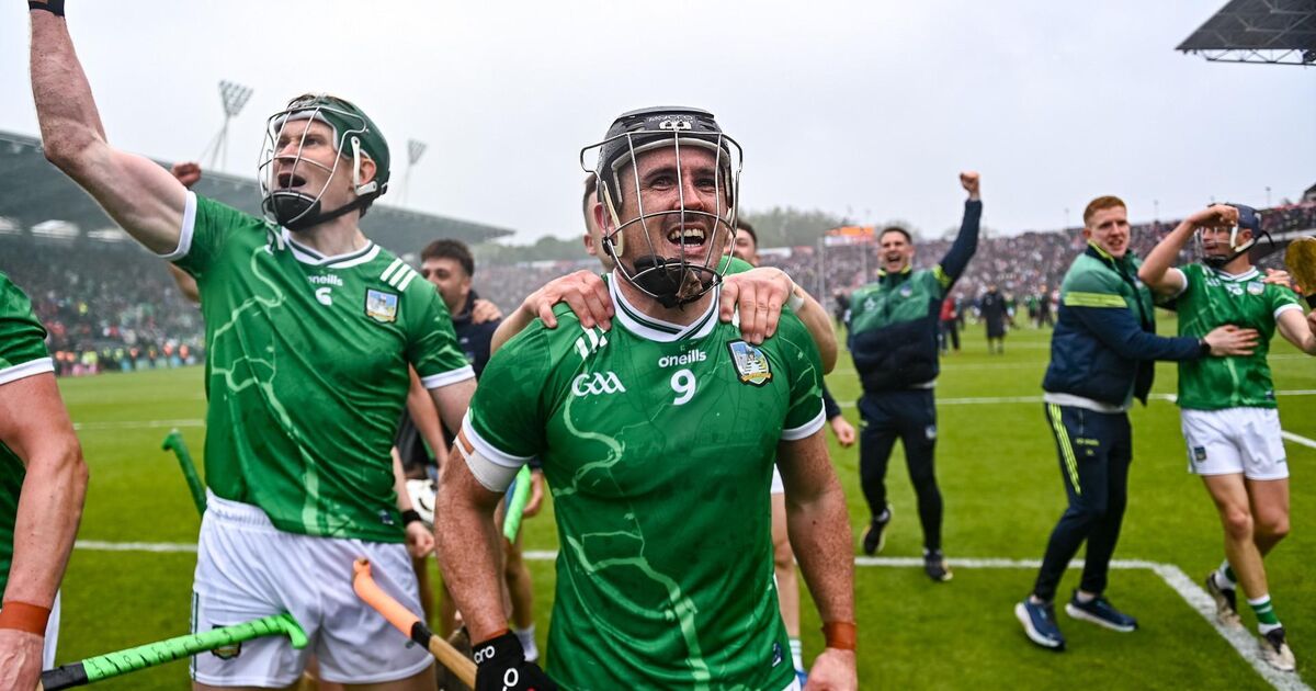 Patrick Horgan: That Limerick flag plant will come up in Cork discussions. That's for sure - Irish Examiner