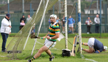 Patrick Horgan hits 13 points as Glen Rovers prove too good for St Finbarr's in SHL clash in Togher