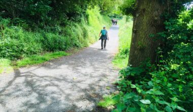Almost 1,000 people took the route along St Declan's Way earlier this year.