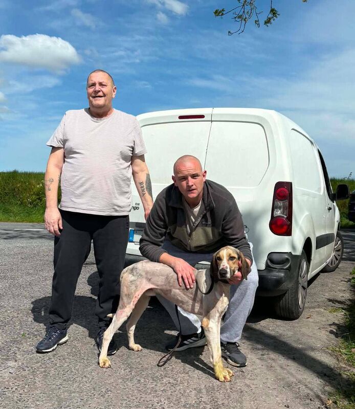 The late Denis Wall of Mayfield harriers (left) with Denis Dowling and  Anyone on the Phone winner of the Michael Heffernan memorial Puppy draghunt.